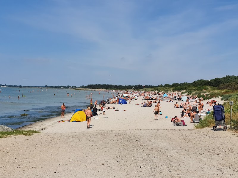 Dagkollo – Sommaräventyr i Lund