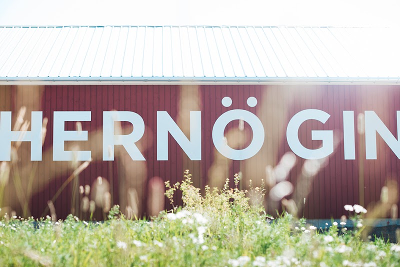 Sommar på Hernö Gin Bistro