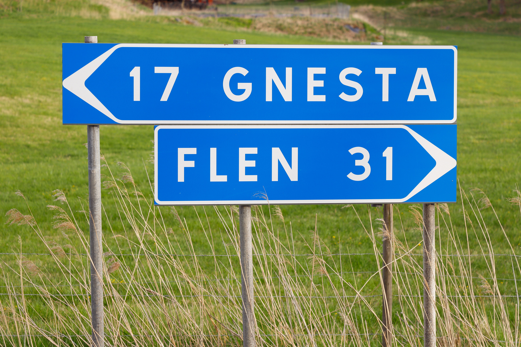 En blå vägskylt med vit text som visar riktning mot Gnesta (17 km åt vänster) och Flen (31 km åt höger), placerad utomhus med grönskande gräs och högt, torkat gräs i förgrunden.