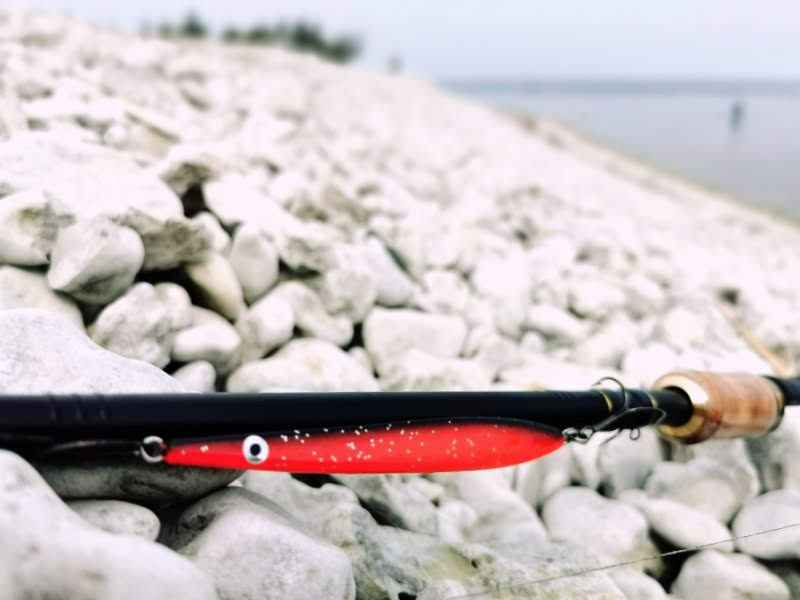Sportfiskarnas sommarlovsfiske