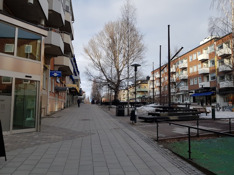 Piteå skärper kommunens etiska regler