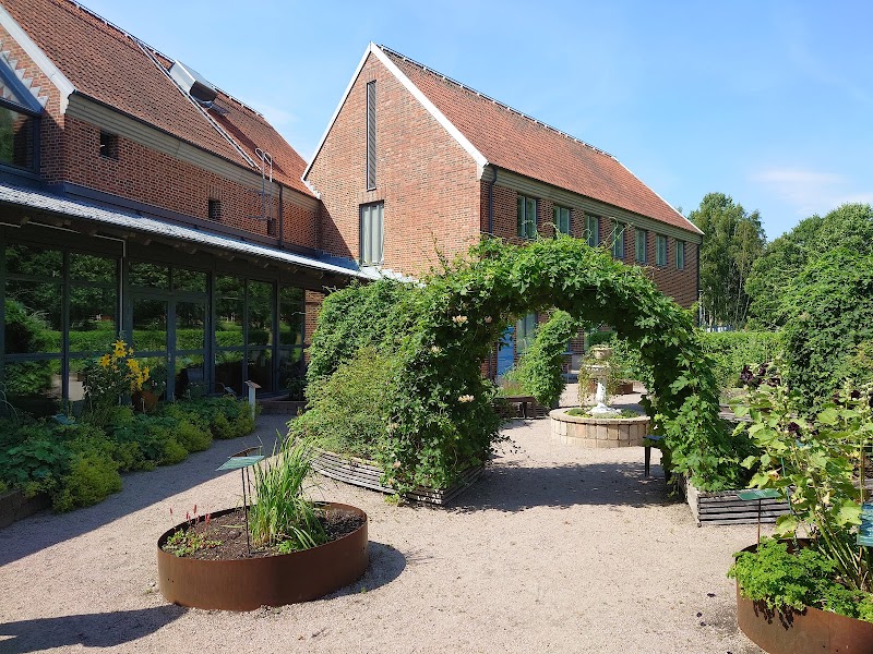 Sommar på museet