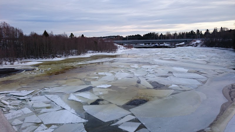 Ljungan: Ånges älv — ryggraden som föder bygd, kraft och fritid