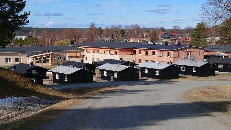 Näringslivslunch: Hur utvecklar vi Malå för att stärka kompetensförsörjningen?