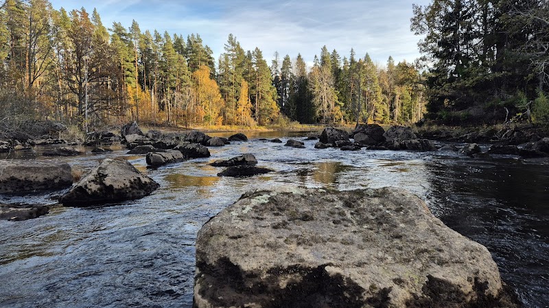 Söderfors port till Nedre Dalälvens vildmark – Båtfors naturreservat nära oss