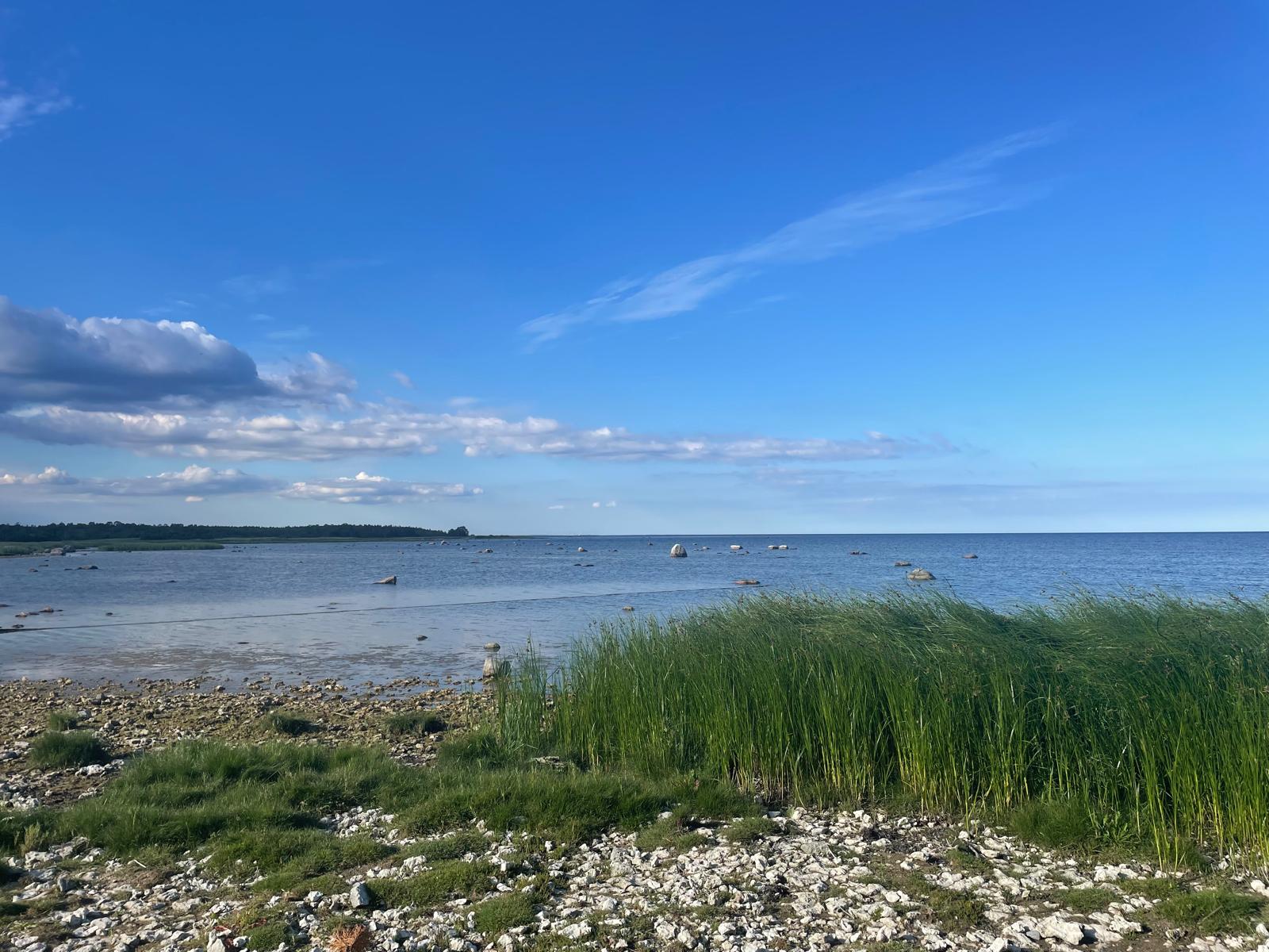 Eldningsförbud på Gotland – gäller hela länet