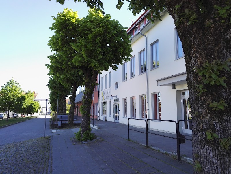 Sommarboken (6–11 år)