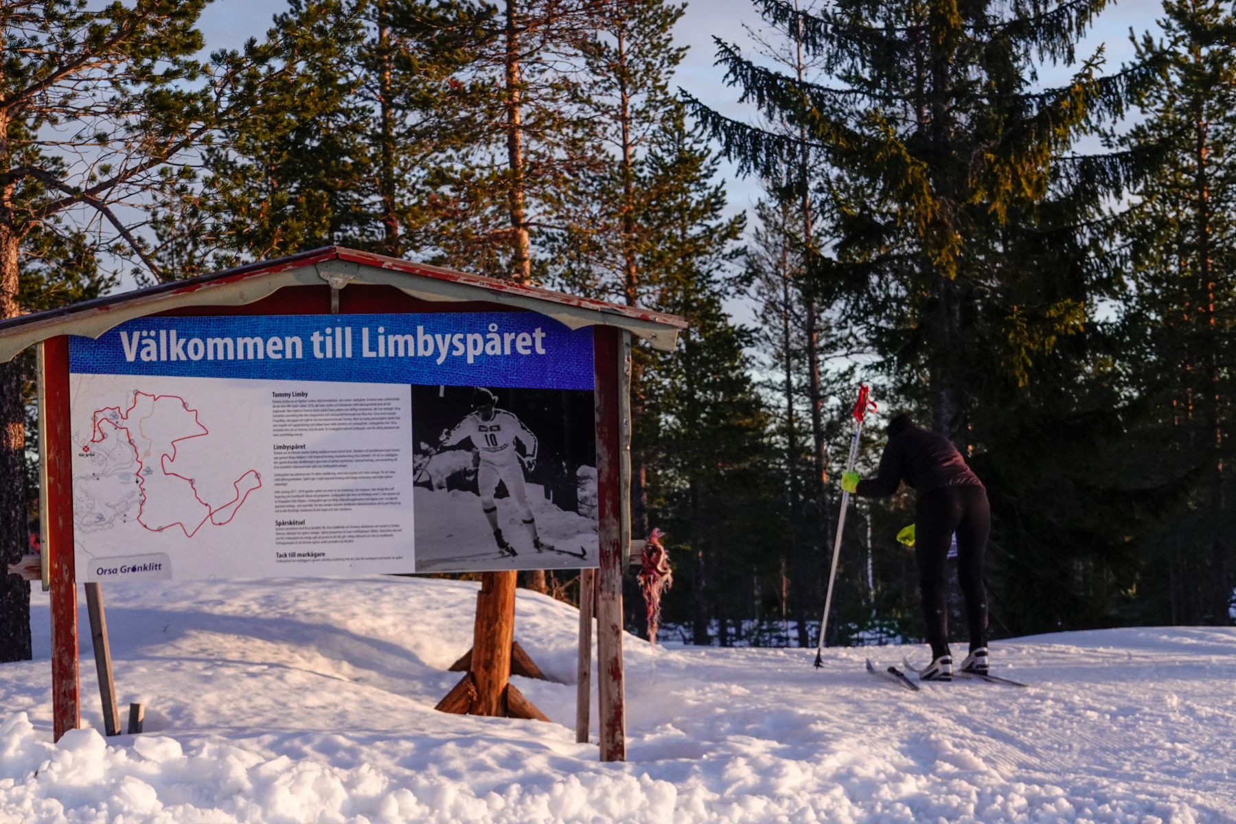 En person i skidutrustning står vänd bort från kameran i snön bredvid en skylt med texten "Välkommen till Limbyspåret". Bakgrunden består av en skog med höga träd och en ljus himmel. Det är snötäckt mark.