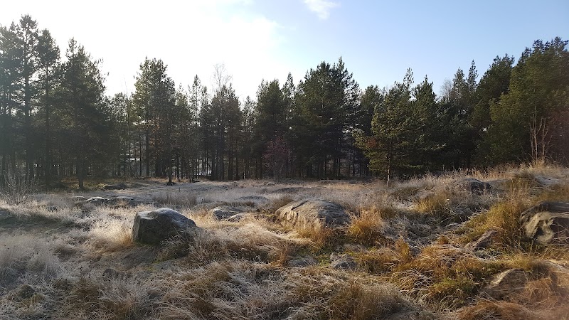Flera förare bötfällda för hastighetsöverträdelser i Norrbotten