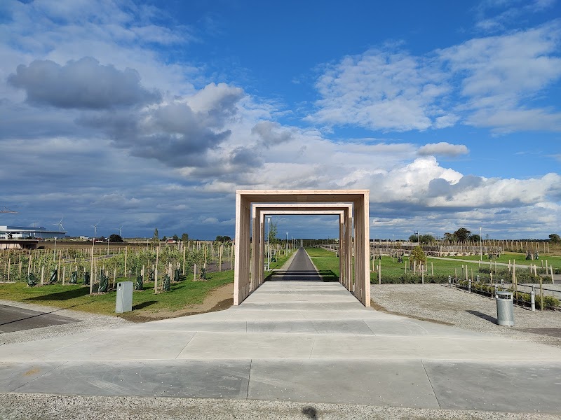 Besök i Kunskapsparkens hönsgård