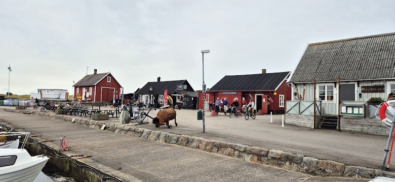 Kvinnors utveckling till sjöss