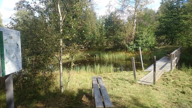 Högsommarvärme och Johannes döparens dag firas