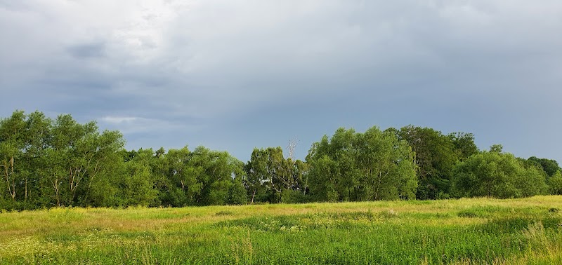 Sommarvärme, Johannes döparens dag och läsglädje för barn