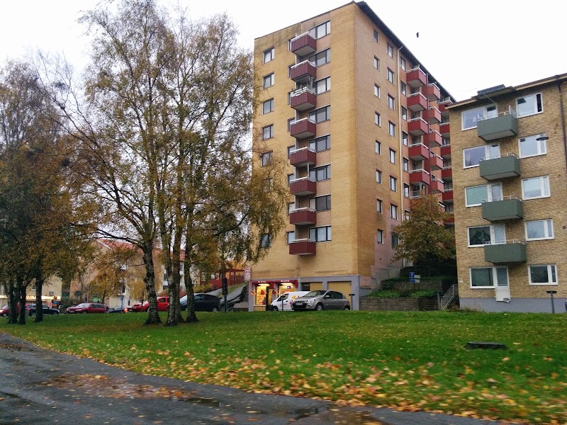 Åtal efter dödsbranden i Biskopsgården – åklagaren kräver sex års fängelse