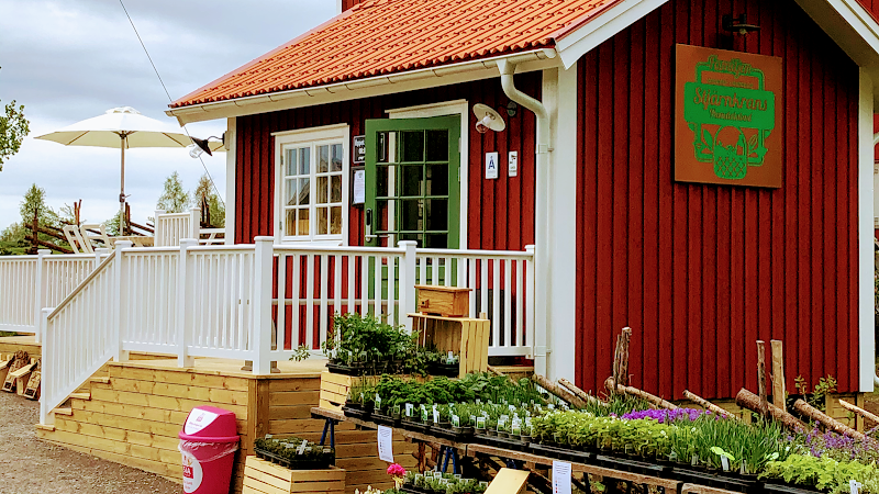 Våffelservering i Stjärnkrans handelsbod