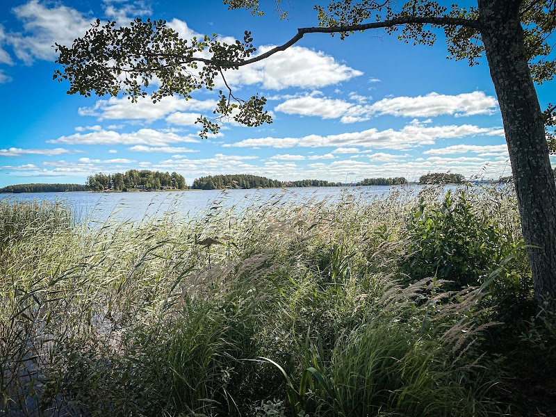 Naturvårdsinsatser vid Gunnarudden stärker fågellivet