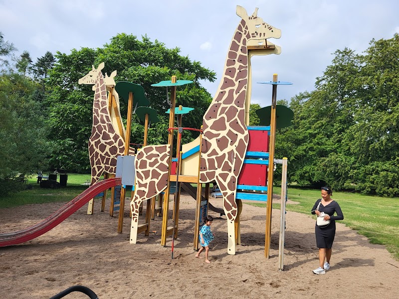 Bio-blitz i Beijers park