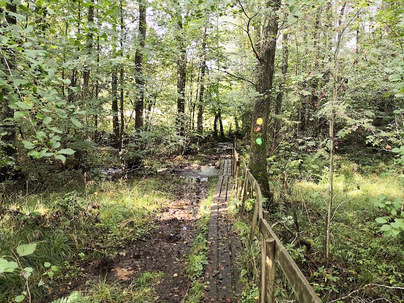 Naturrunda i Hålehall för barn (6–12 år)