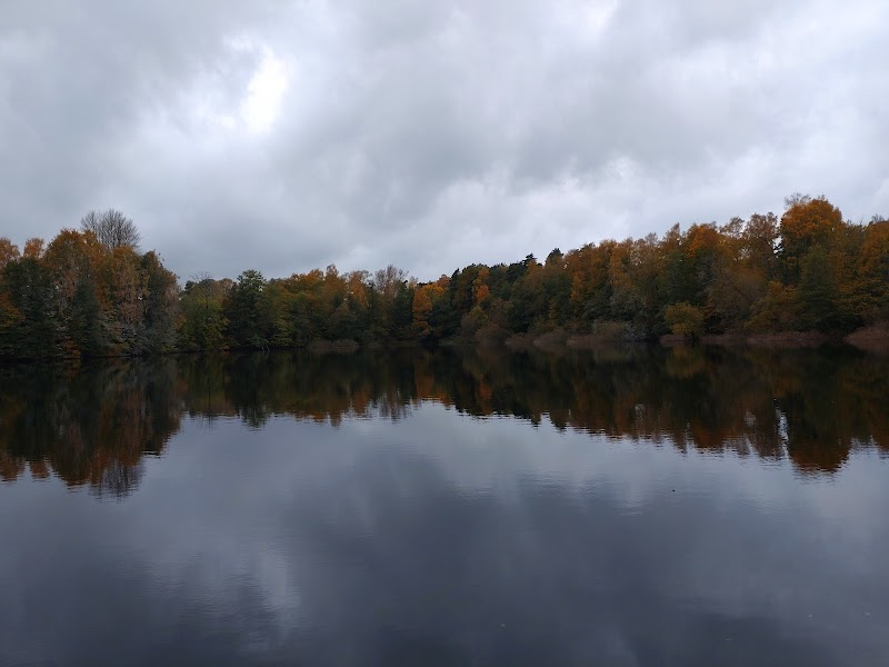 Sommarlovsfiske för barn vid Öresjön