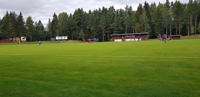 Dansa & Slöjda på Barnens dag i Färila