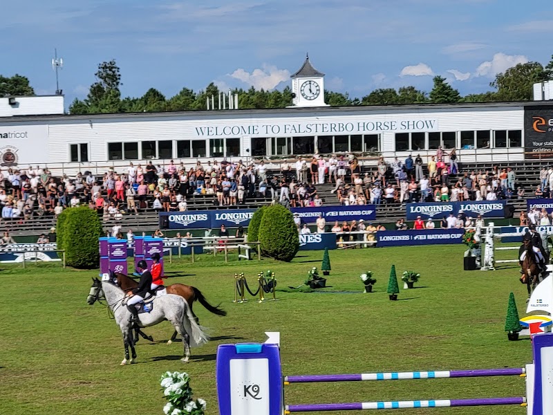 Shettisarna imponerade i agility på Falsterbo