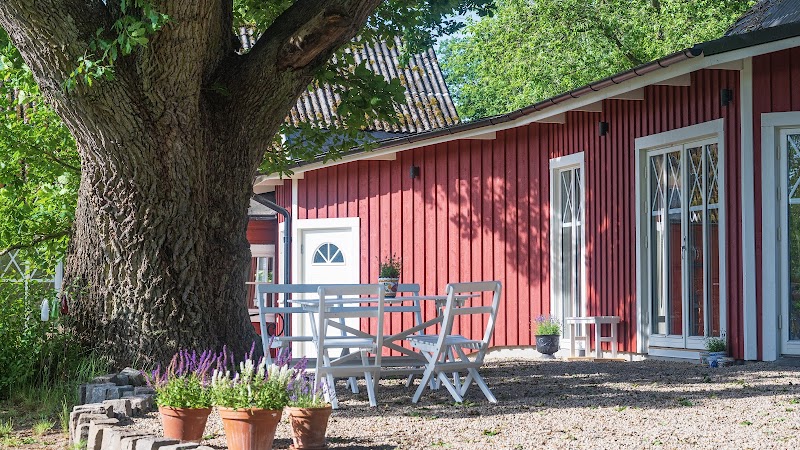Hälsovistelse – Sommarboost