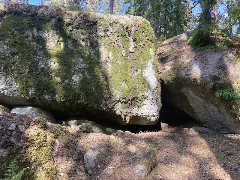 Guidning: Häxprocesserna i Trollkäringeskogen