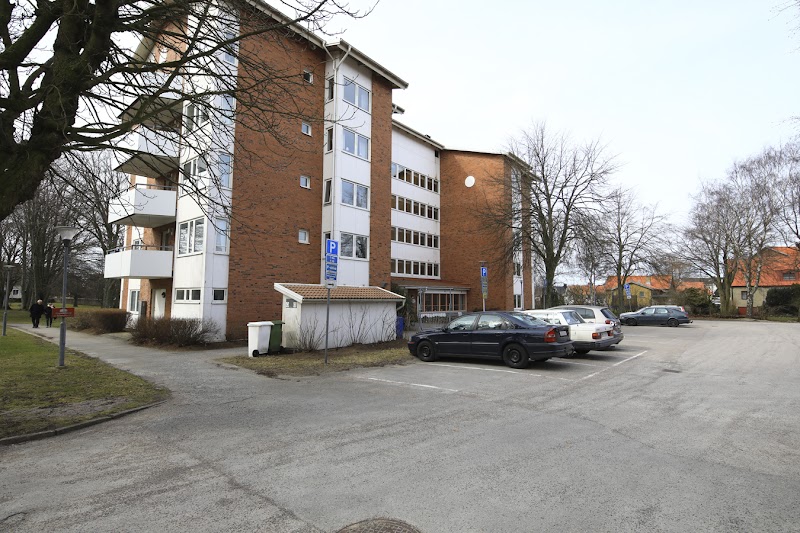 Varberg utreder nya satsningar mot ofrivillig ensamhet
