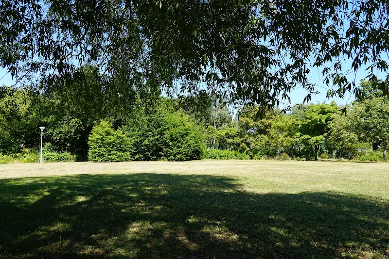 Simrishamn vill sälja del av Lasarettsparken
