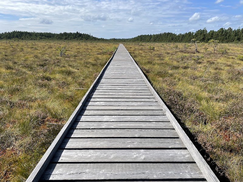 Friskvårdsguidning vid Store Mosse