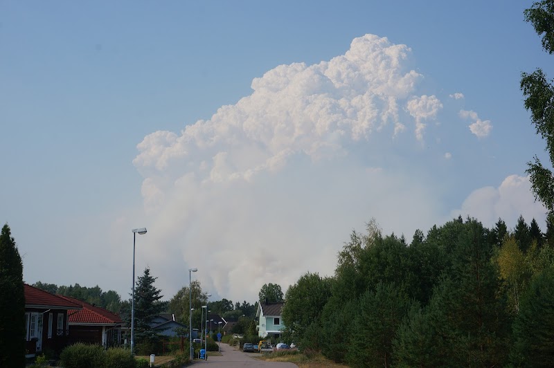 Seglingsberg – bruksspår, midsommar och Kolbäcksåns puls