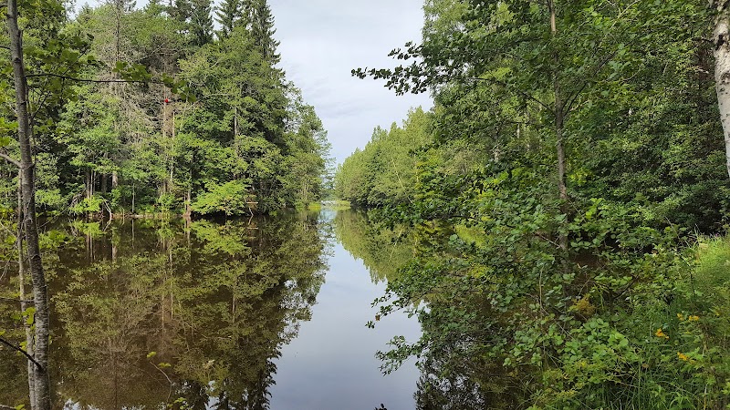 Dalälven i Tierp: gräns, naturryggrad och framtidsresurs