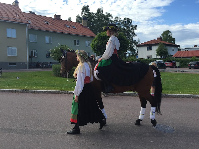 Orsa kommun: ortens största arbetsgivare och vardagens motor