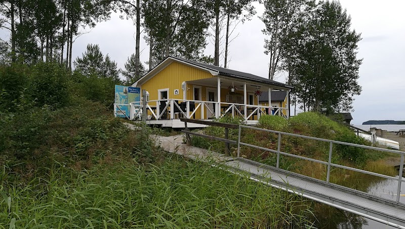 Musikkväll med Bandet