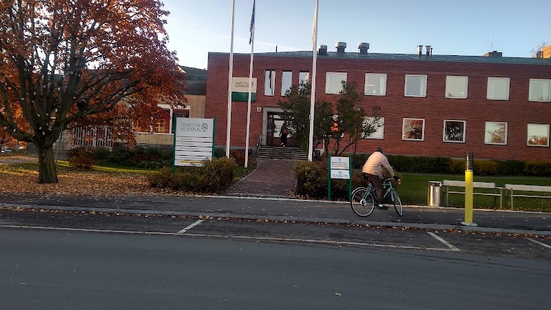 Dagens puls: väder, temadagar och snabba nyheter