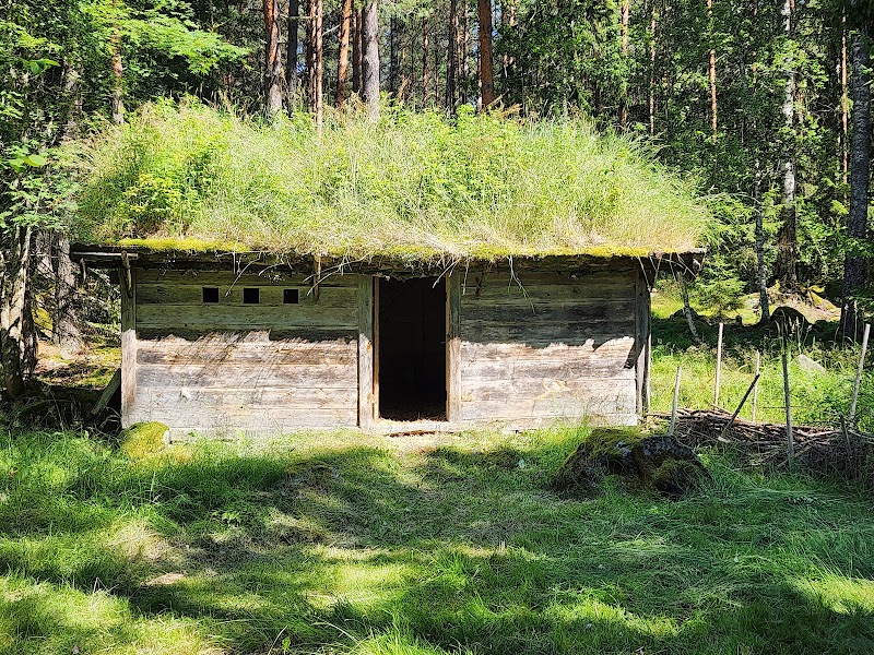 Besök en levande vikingagård i Årsunda – upplev vikingatiden