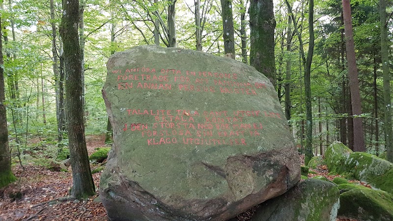 Guidad vandring vid Bexells talande stenar
