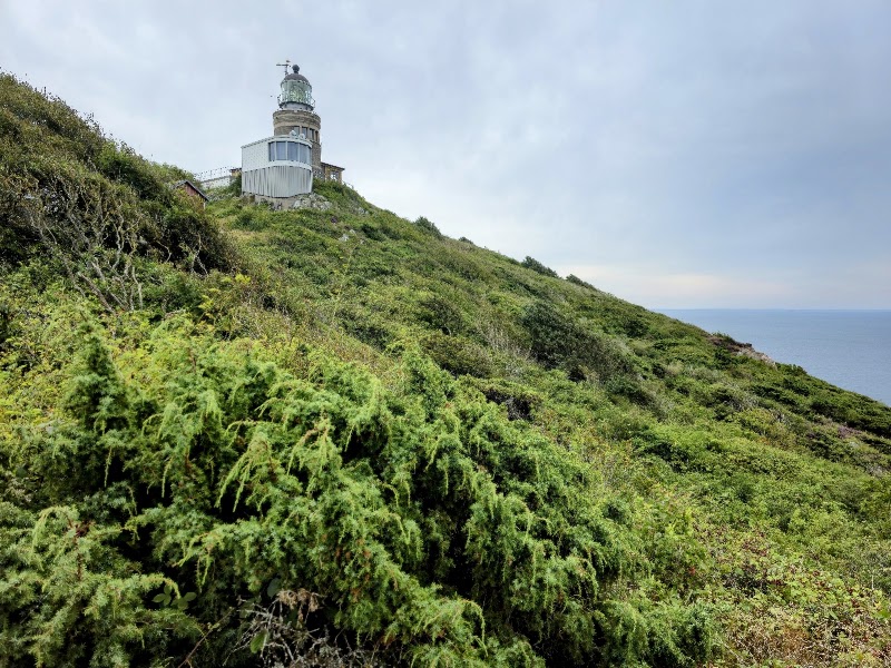 Tumlarsafari runt Kullaberg