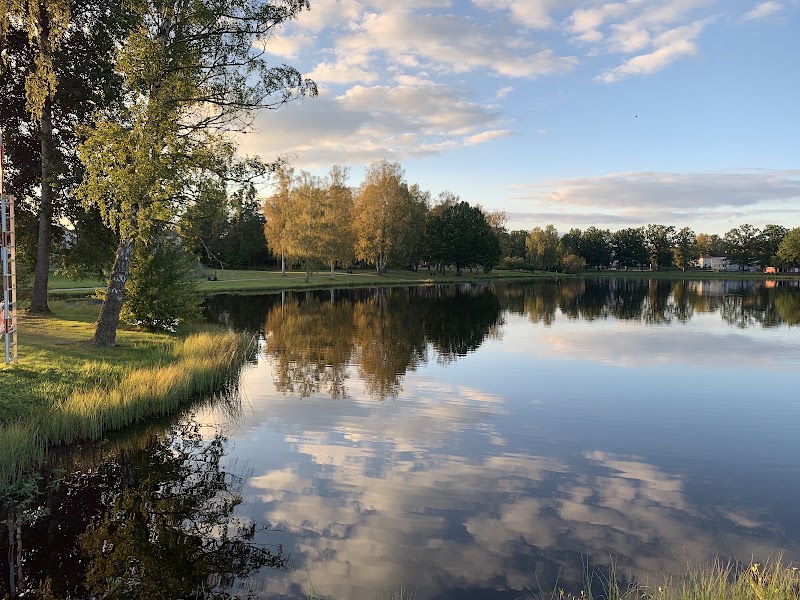 Dagens snabbsammanfattning: väder, palt och globala rubriker