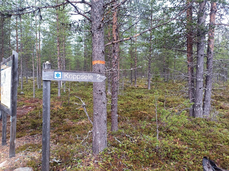Koppsele dagen