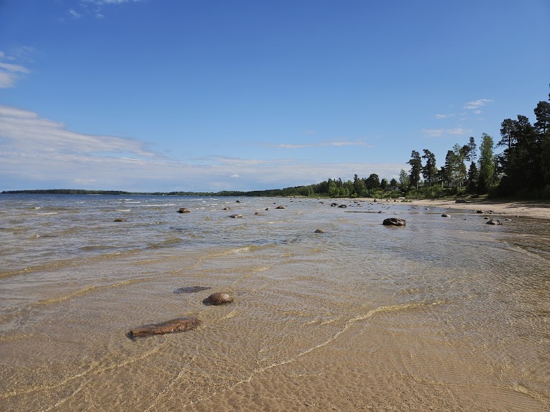 Algblomning i Vänern – bad avråds vid flera badplatser