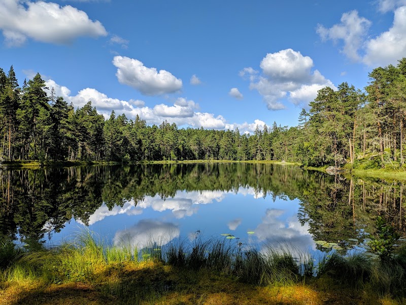 Ronjavandring i Norra Kvills nationalpark