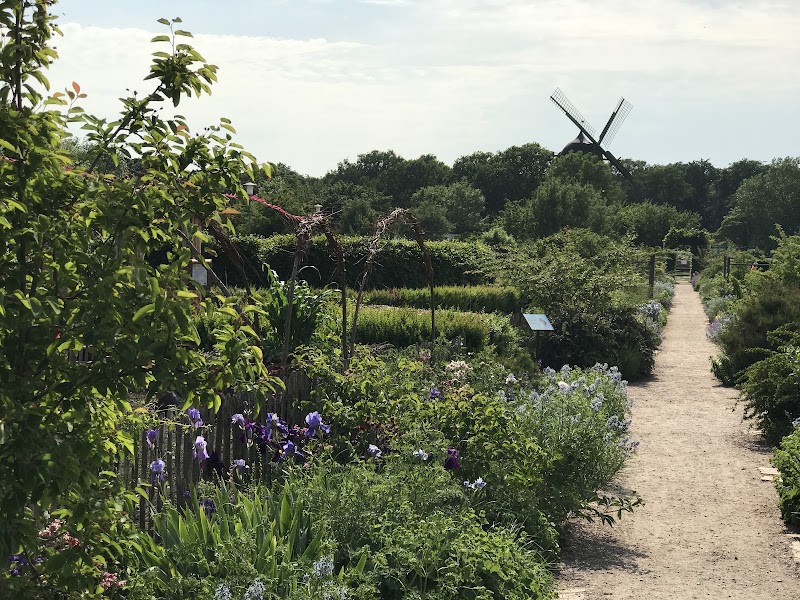 Alkemistens gröna konstverkstad