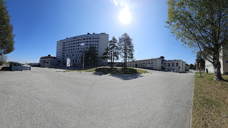 Lycksele som nav i södra Lappland: Handel, vård och utbildning som bär staden