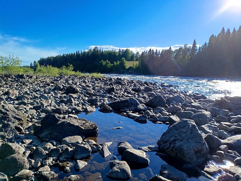 Vindelälven i Vännäs: vår fria älv, vår vardagspark