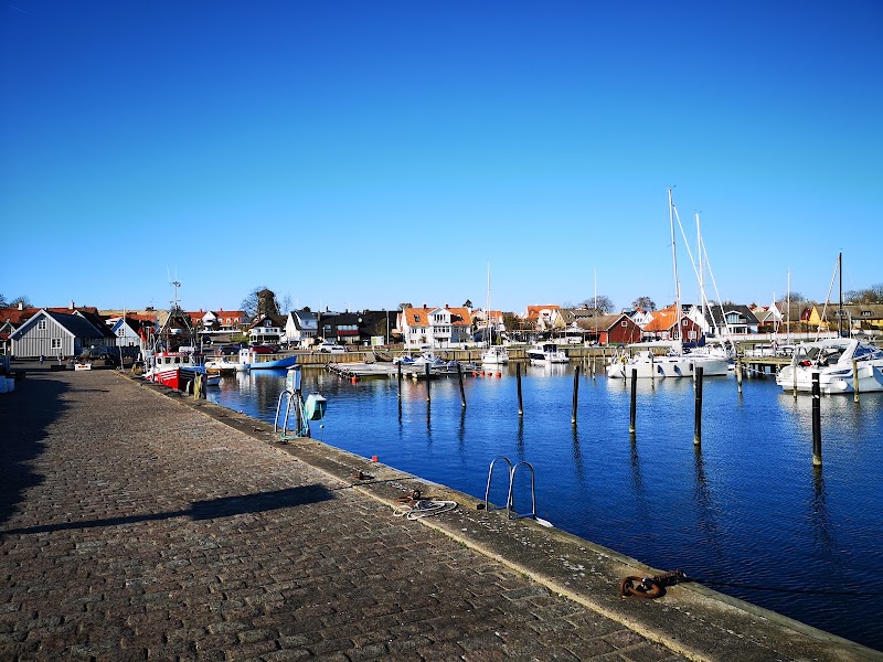 Vikenfesten i Viken