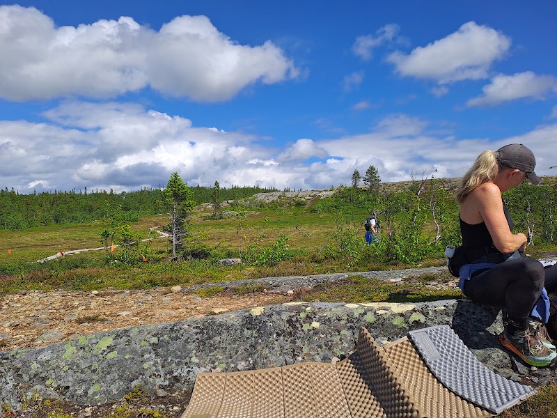 Kia Fjällmaraton Årefjällen