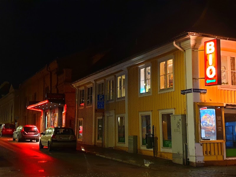 Konsert med Frida Andersson