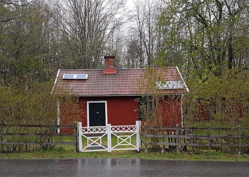 Sommarvandring vid Lillån – skogen som kraftkälla
