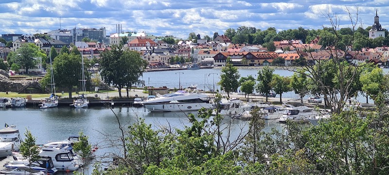 Snabbkoll: Dagens viktigaste nyheter och söktrender